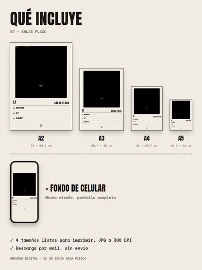 Qué incluye el póster de 17 de Salas Flaco: A2, A3, A4, A5 y fondo de celular