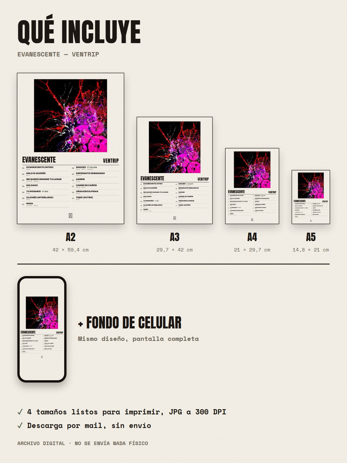 Qué incluye el póster de Evanescente de Ventrip: A2, A3, A4, A5 y fondo de celular